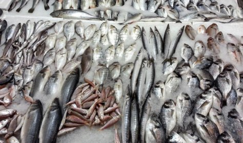В Аланье построится новый рыбный рынок