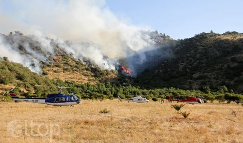 Турция помогает пострадавшим от пожаров 