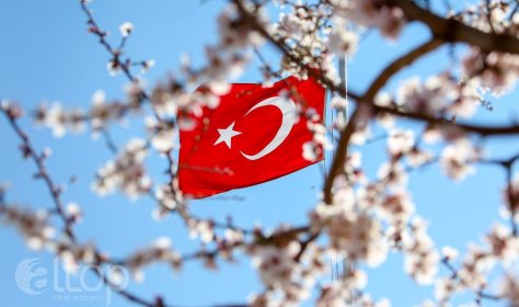Турция празднует приход весны