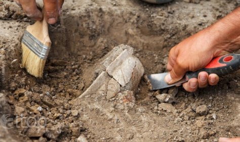 В Адане обнаружены гробницы гладиаторов