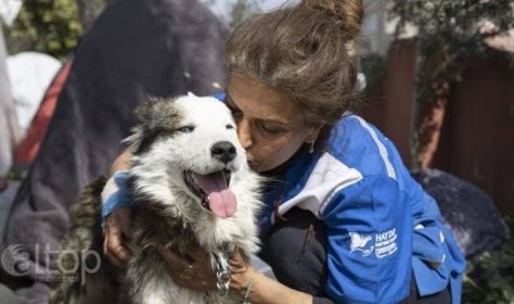 Счастливое спасение: 22 дня под завалами собака ждала помощи от людей