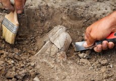 Турецкие археологи нашли ценный артефакт в Бартине