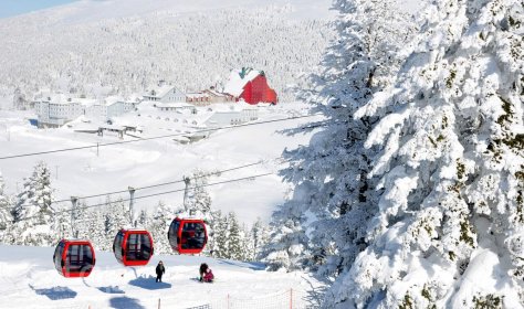В Турции готовы к новогоднему сезону на горнолыжных курортах